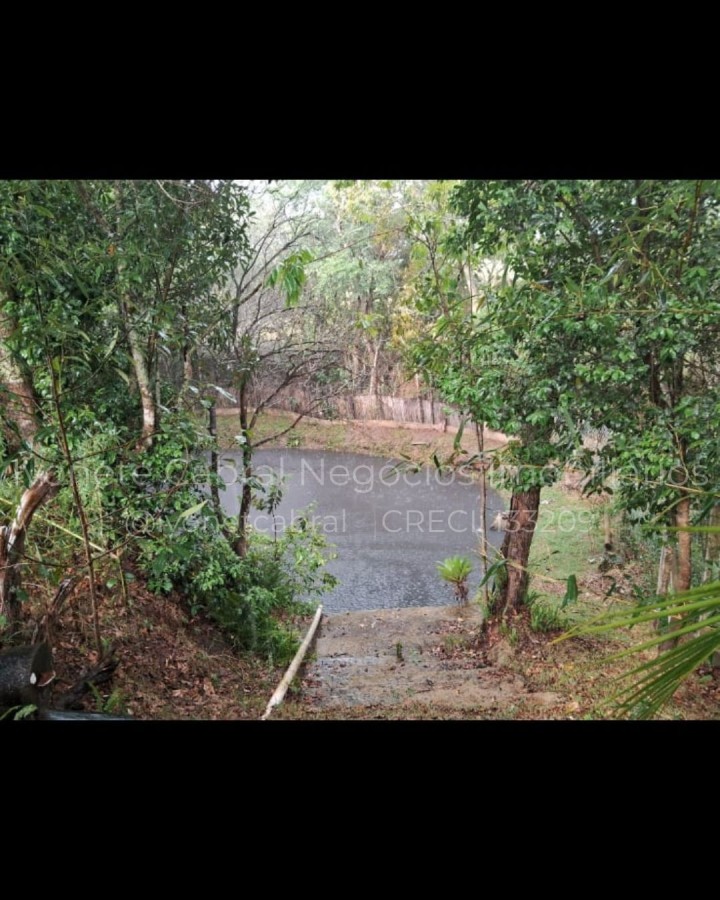 Chácara à venda com 2 quartos, 1000m² - Foto 15