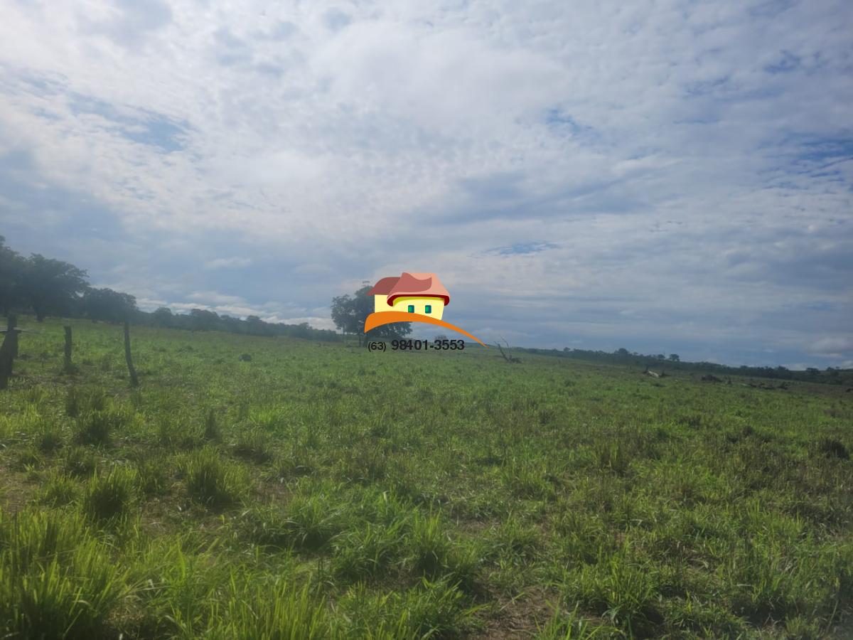 Fazenda à venda, 1m² - Foto 1