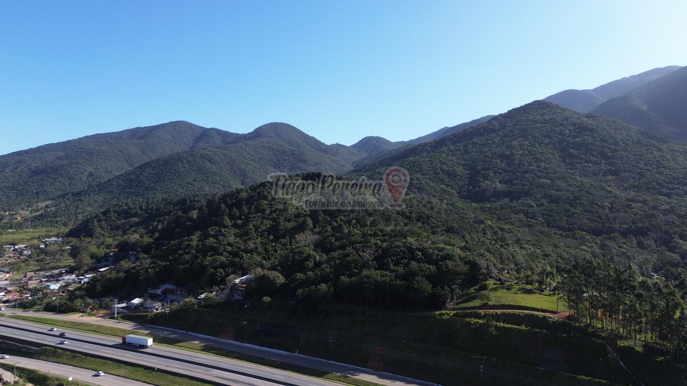 Sítio à venda com 3 quartos, 9659m² - Foto 38