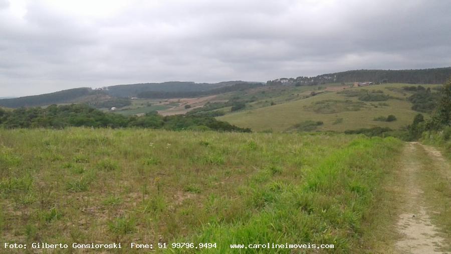 Sítio à venda com 2 quartos, 35000m² - Foto 23