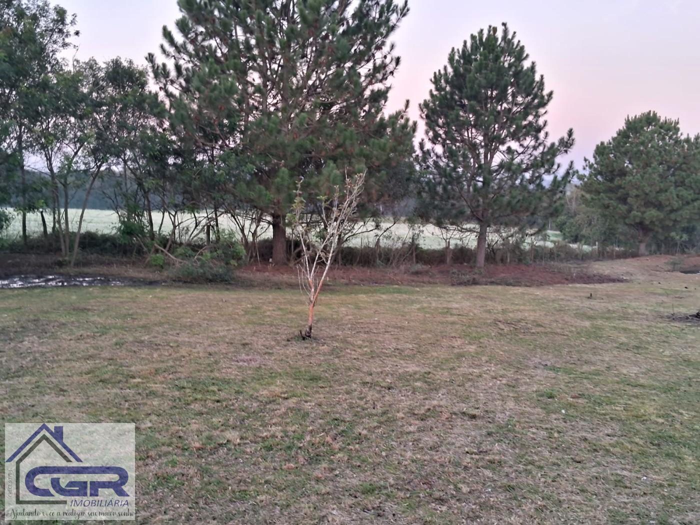 Fazenda para alugar com 3 quartos, 6000m² - Foto 19
