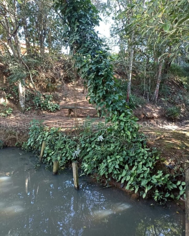 Chácara à venda com 2 quartos, 1000m² - Foto 8