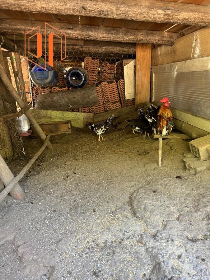 Chácara à venda, 6050m² - Foto 19