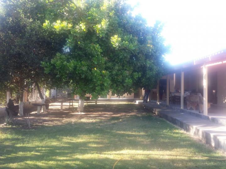 Fazenda à venda com 3 quartos - Foto 28