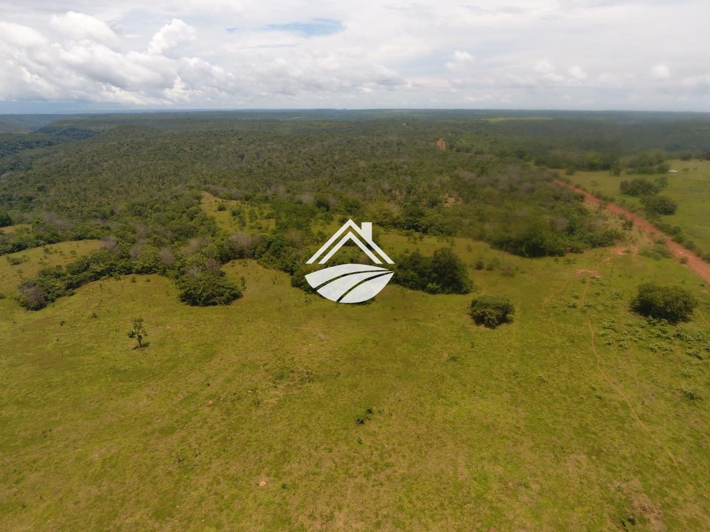 Fazenda à venda, 1m² - Foto 17