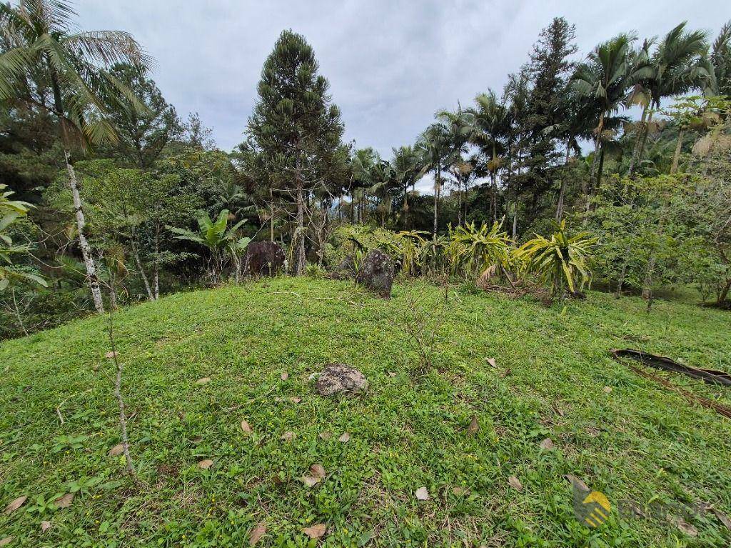 Sítio à venda com 3 quartos, 200m² - Foto 49