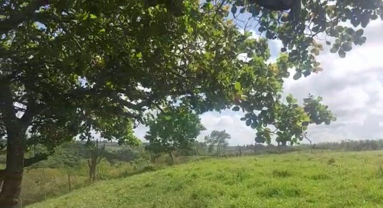 Terreno à venda - Foto 6