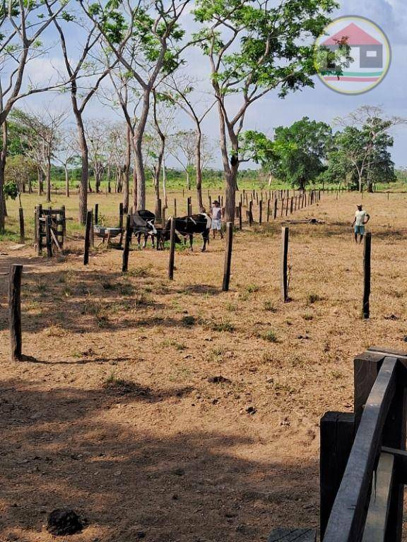 Fazenda à venda, 968000M2 - Foto 9