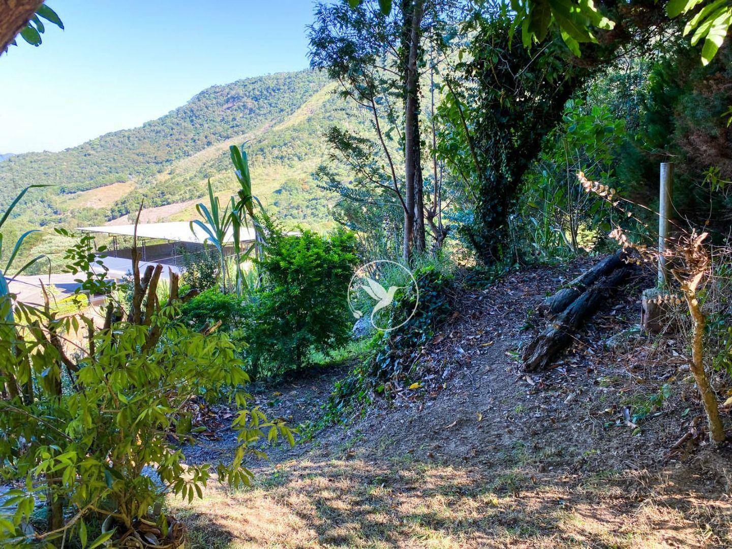 Sítio à venda com 3 quartos, 8000M2 - Foto 43