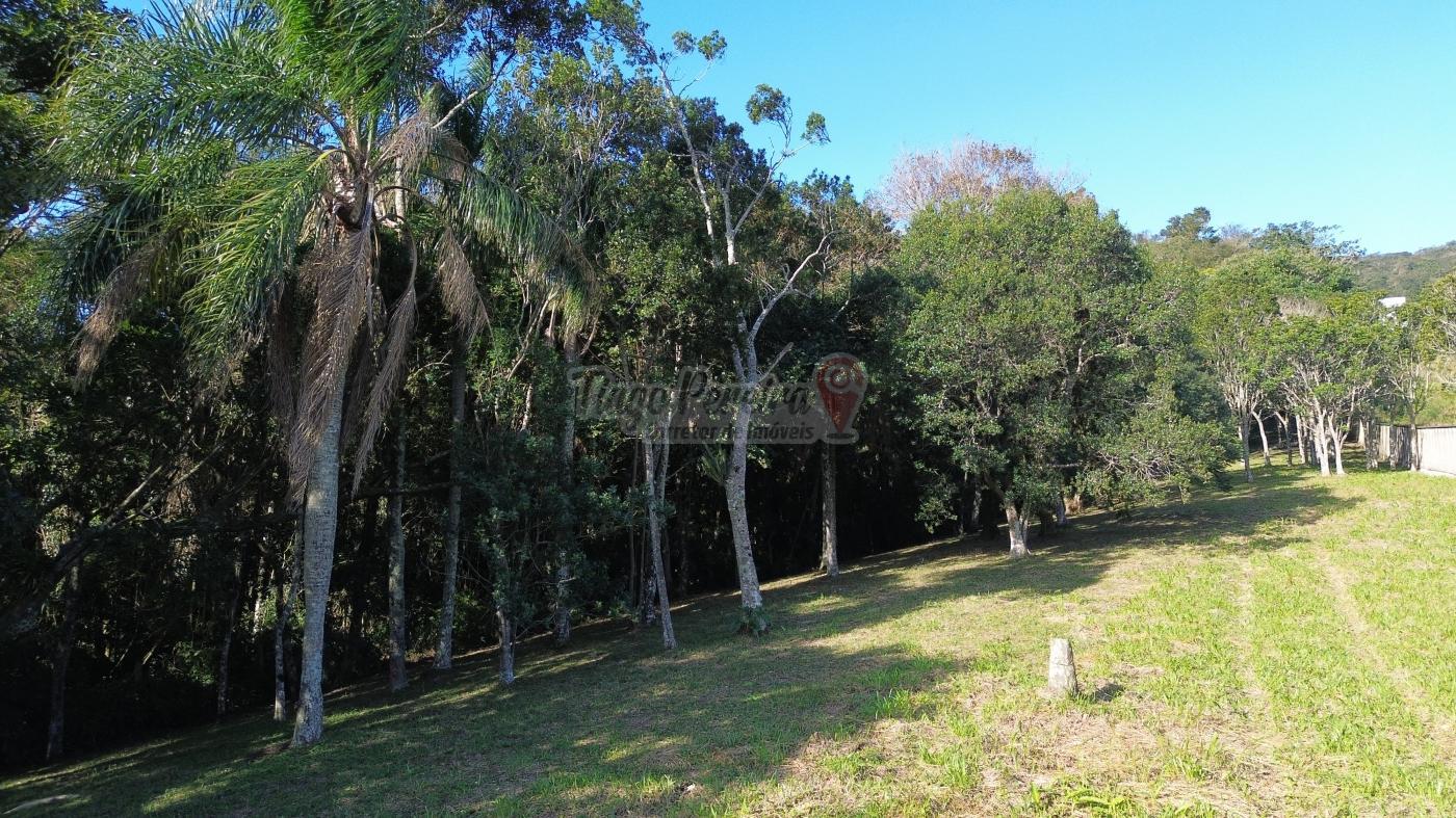 Sítio à venda com 3 quartos, 9659m² - Foto 55