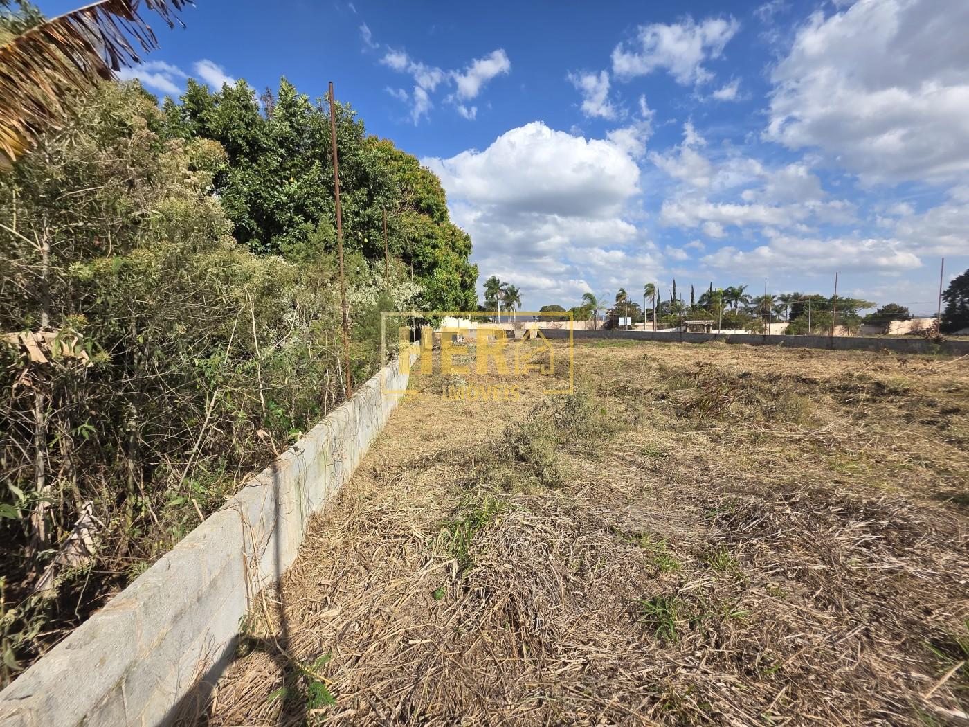 Terreno à venda, 5000m² - Foto 7