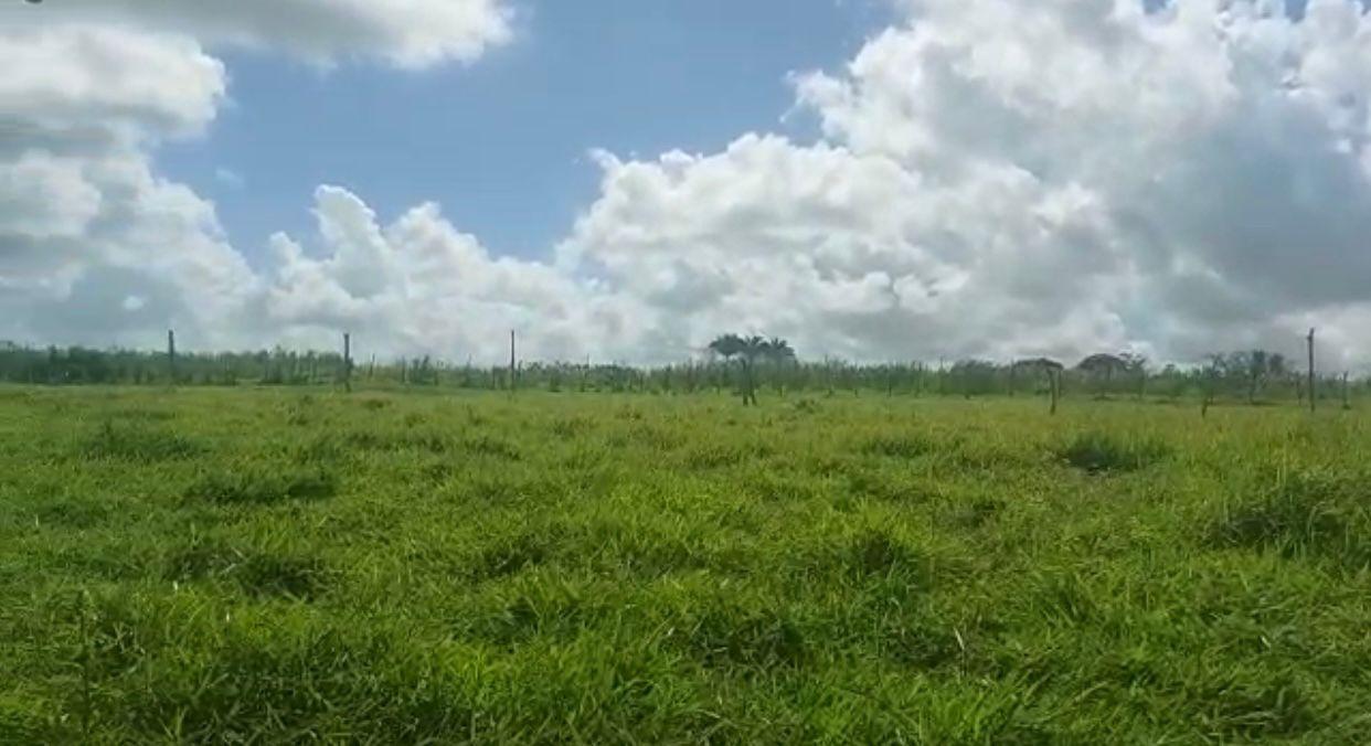 Terreno à venda - Foto 1
