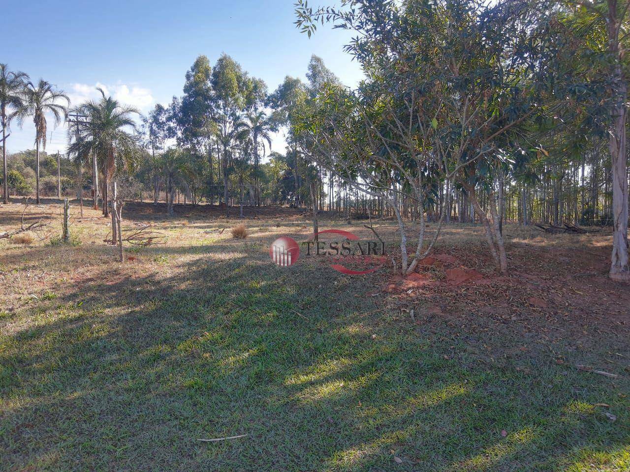 Sítio à venda com 3 quartos, 180m² - Foto 24