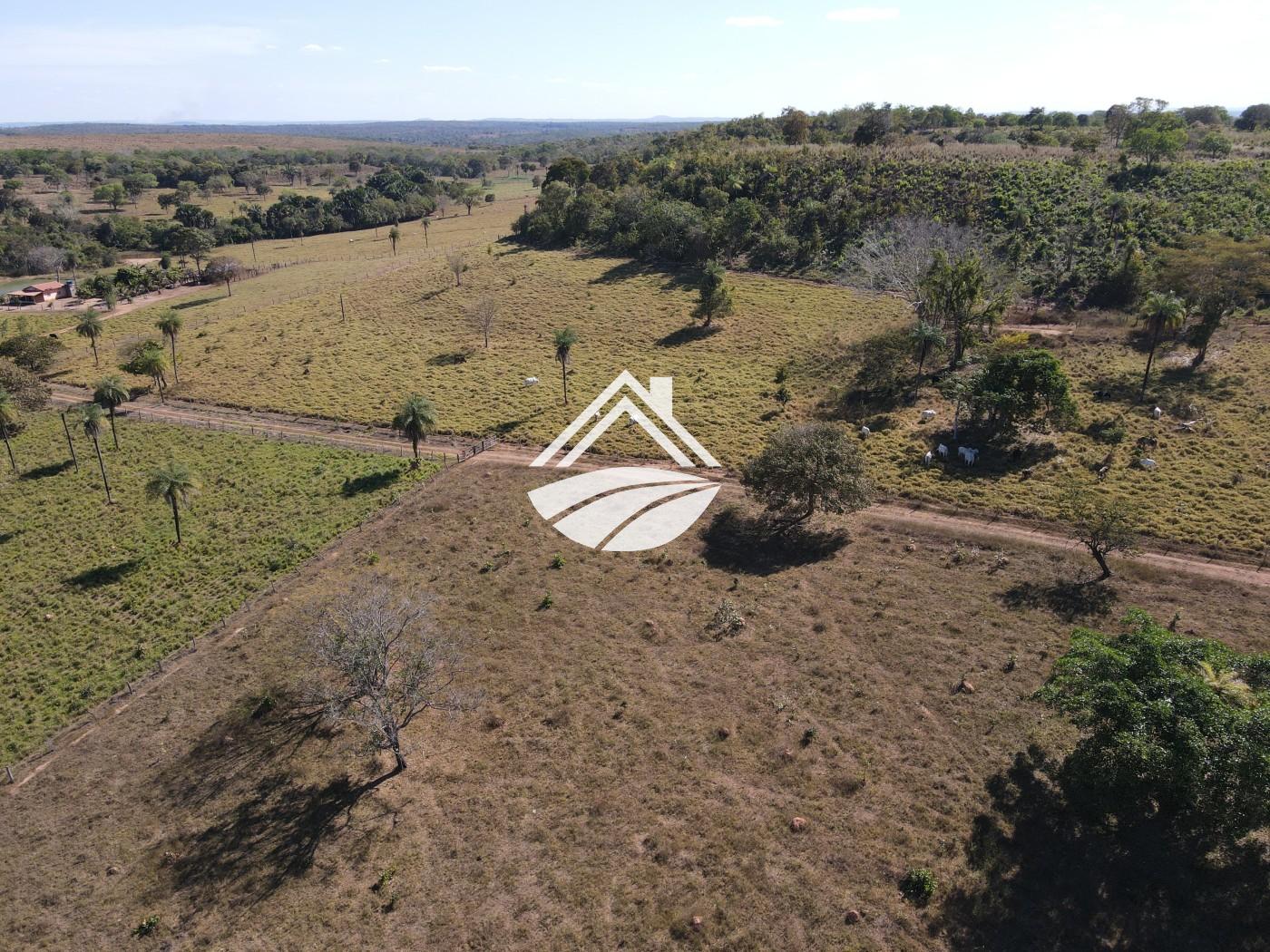 Fazenda à venda com 3 quartos, 452980m² - Foto 8