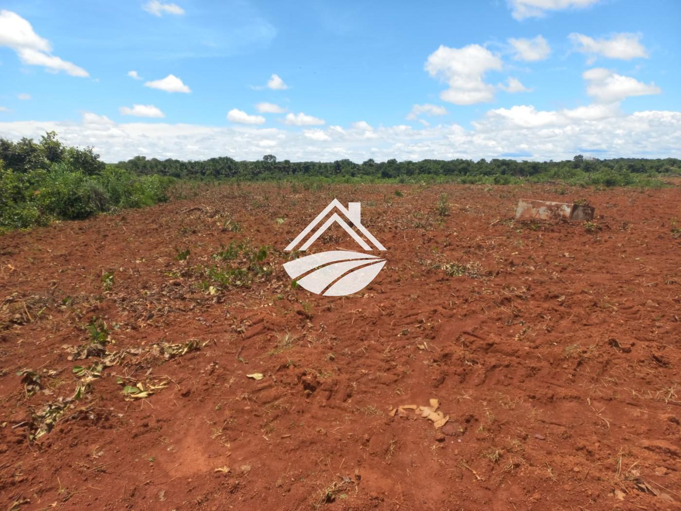 Fazenda à venda, 1m² - Foto 16