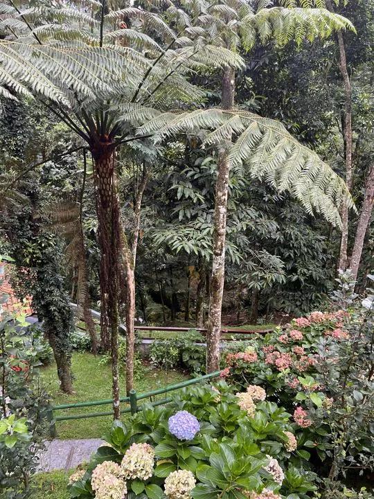 Prédio Inteiro à venda com 8 quartos - Foto 13