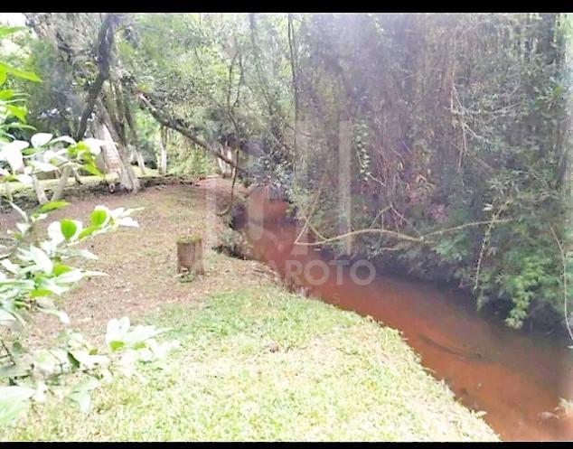 Chácara à venda com 3 quartos, 5000m² - Foto 13