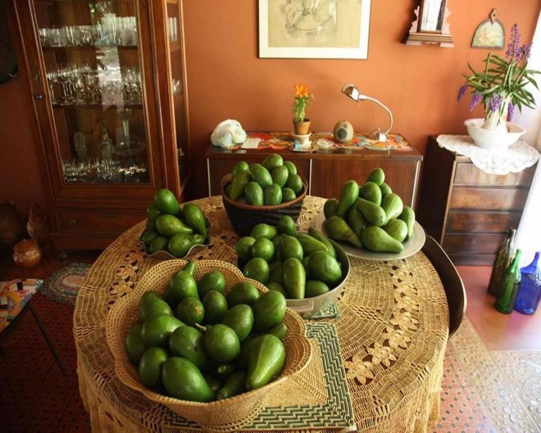 Casa à venda - Foto 52