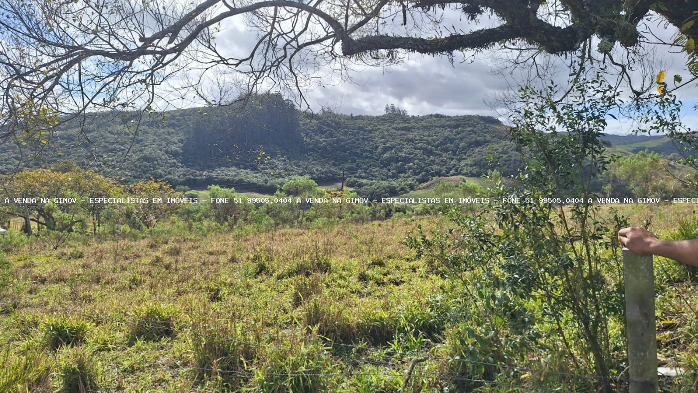 Sítio à venda com 2 quartos, 25000m² - Foto 1