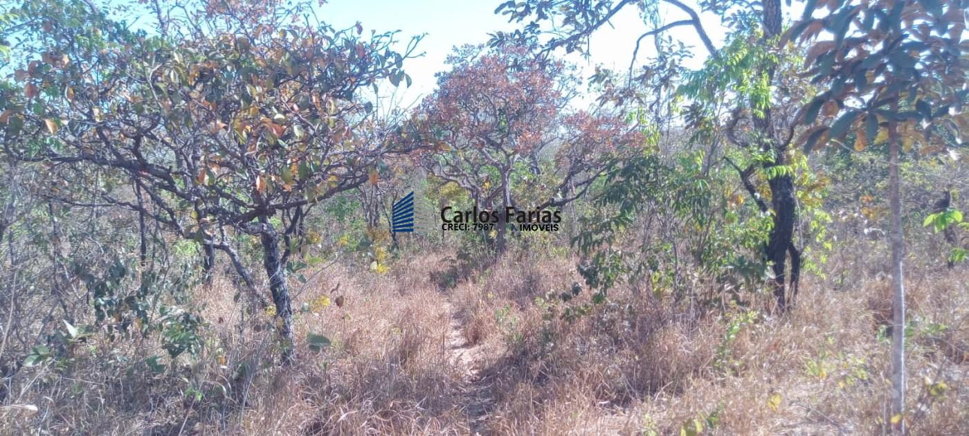 Chácara à venda, 20000m² - Foto 20