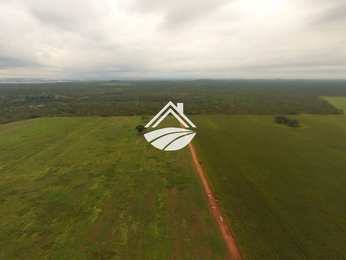 Fazenda à venda, 1m² - Foto 5