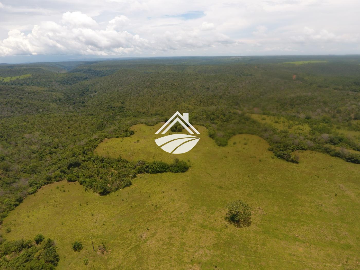 Fazenda à venda, 1m² - Foto 21