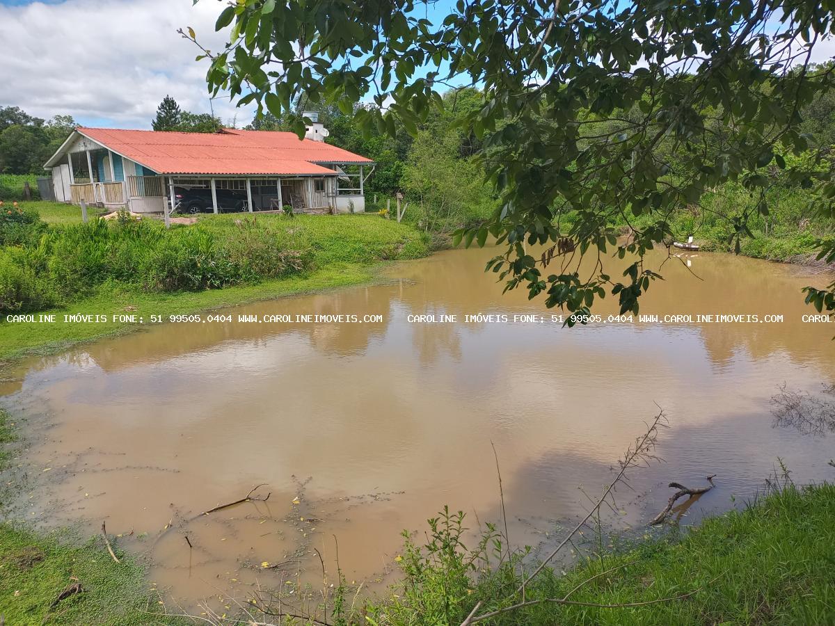 Chácara à venda com 3 quartos, 29000m² - Foto 3