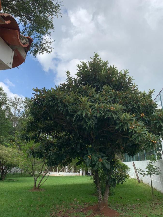 Casa de Condomínio à venda com 6 quartos, 600m² - Foto 2