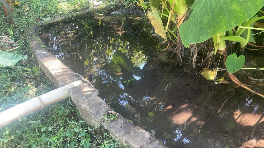 Sítio à venda com 3 quartos - Foto 8