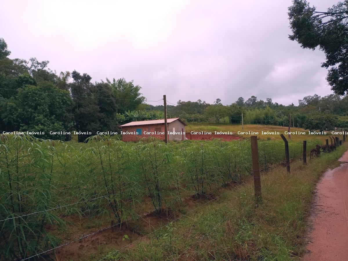 Sítio à venda com 2 quartos, 13500m² - Foto 7