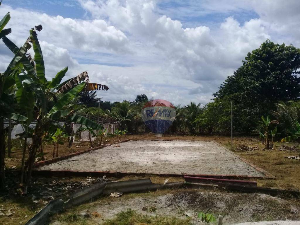 Sítio à venda com 3 quartos, 250m² - Foto 16