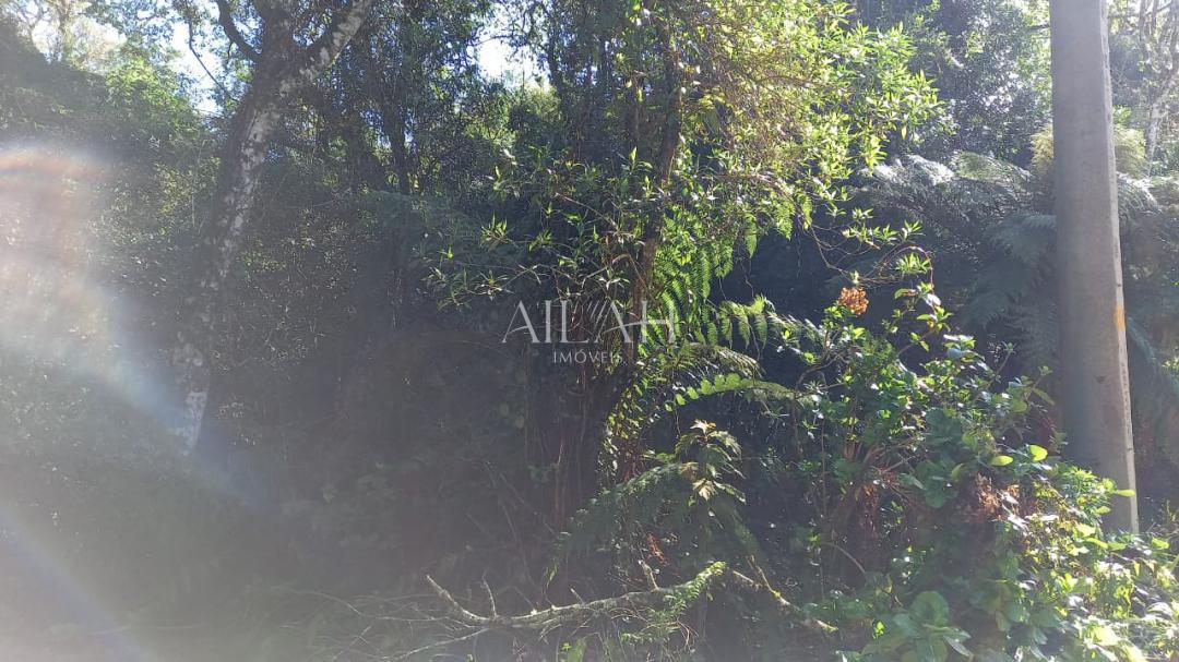 Terreno à venda, 750m² - Foto 8