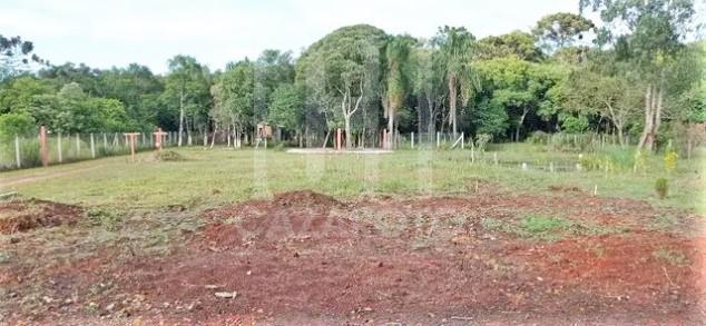 Chácara à venda com 3 quartos, 5000m² - Foto 14
