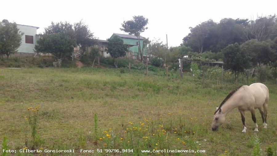Sítio à venda com 2 quartos, 35000m² - Foto 8