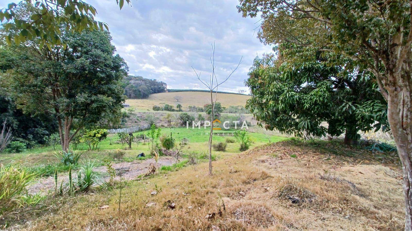 Chácara à venda com 1 quarto, 6000M2 - Foto 9
