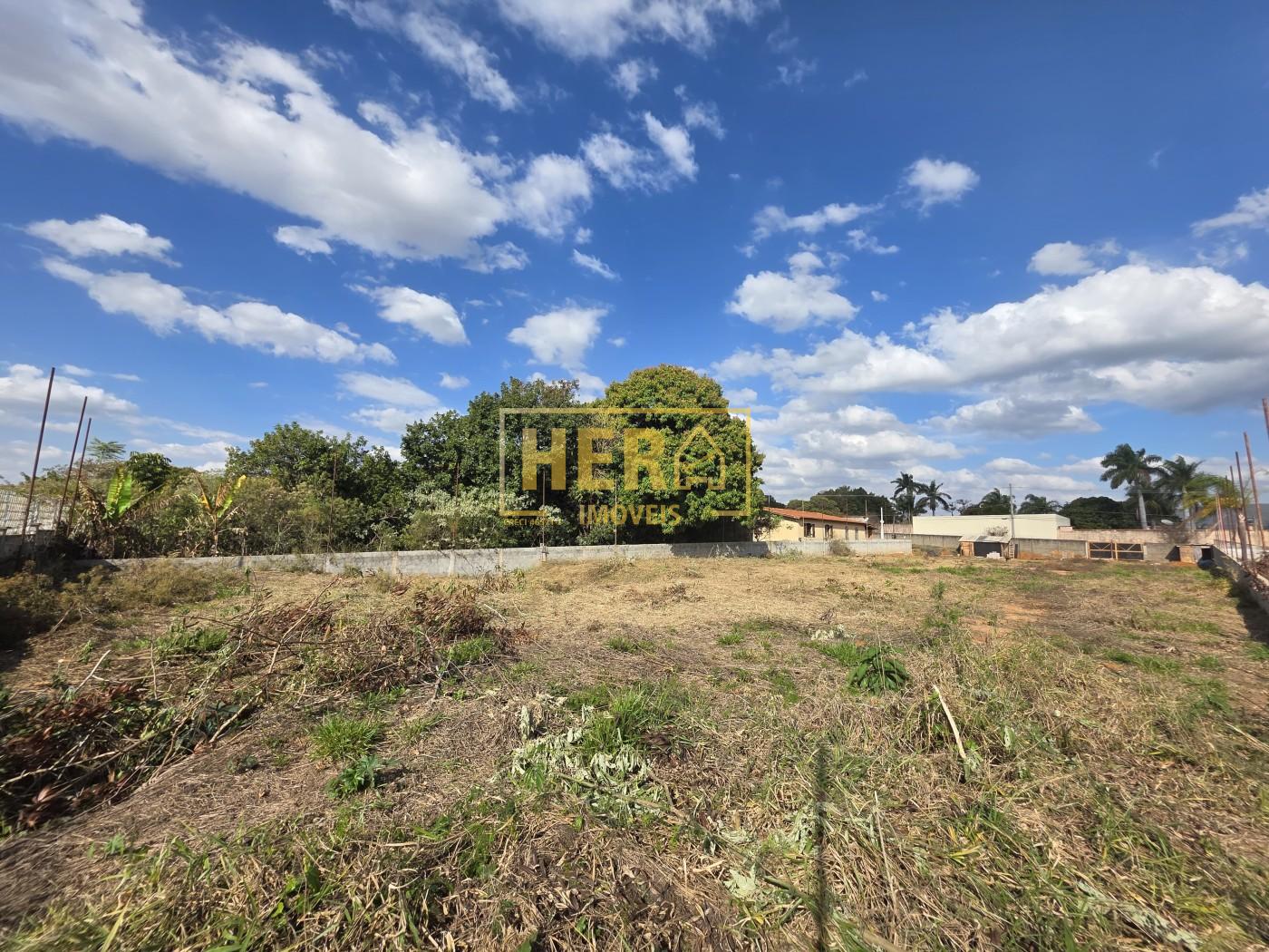 Terreno à venda, 5000m² - Foto 6