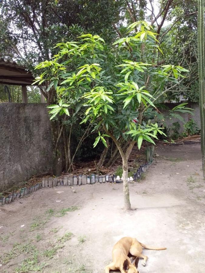 Casa à venda com 2 quartos, 200m² - Foto 5