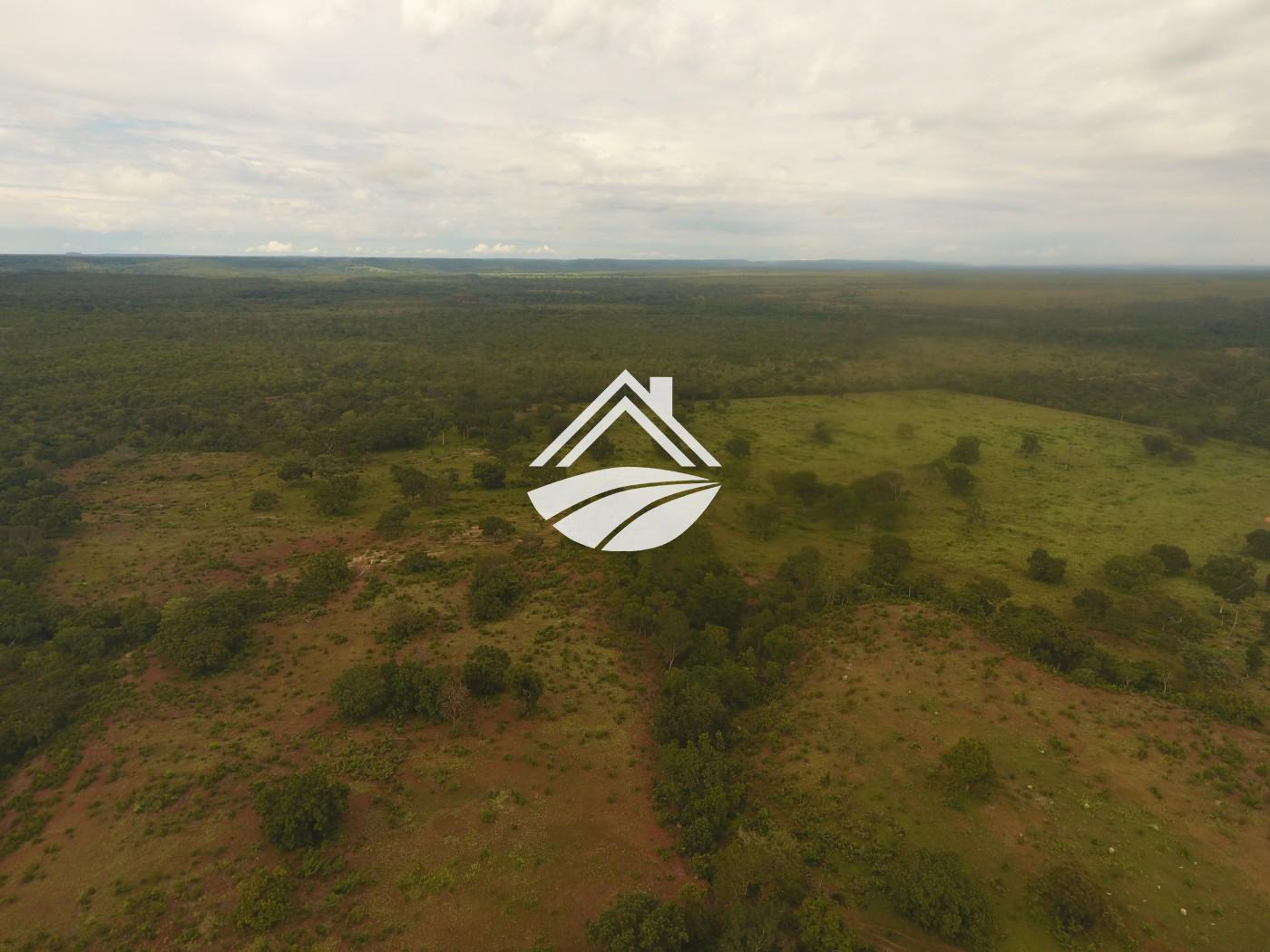 Fazenda à venda, 1m² - Foto 35