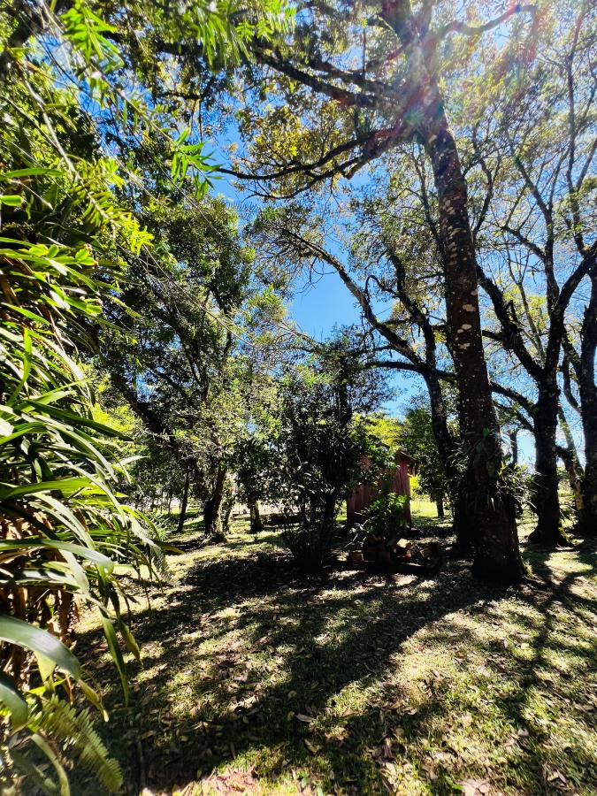 Chácara à venda, 6000m² - Foto 31