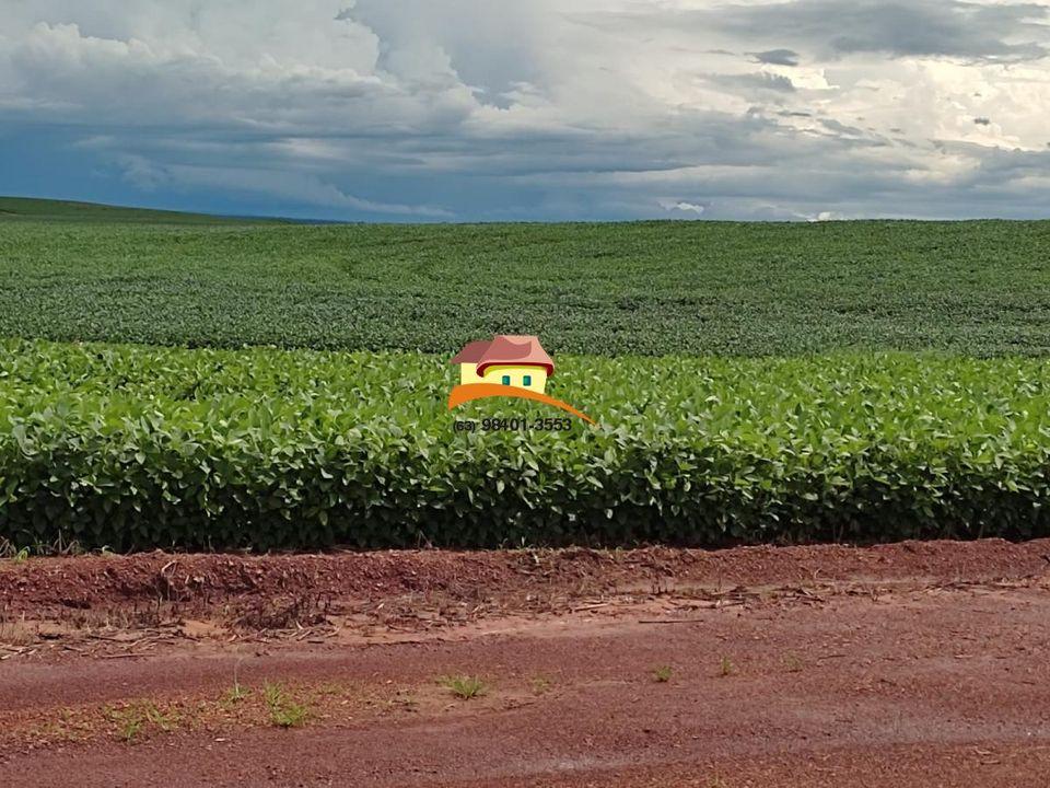 Fazenda à venda, 1m² - Foto 10