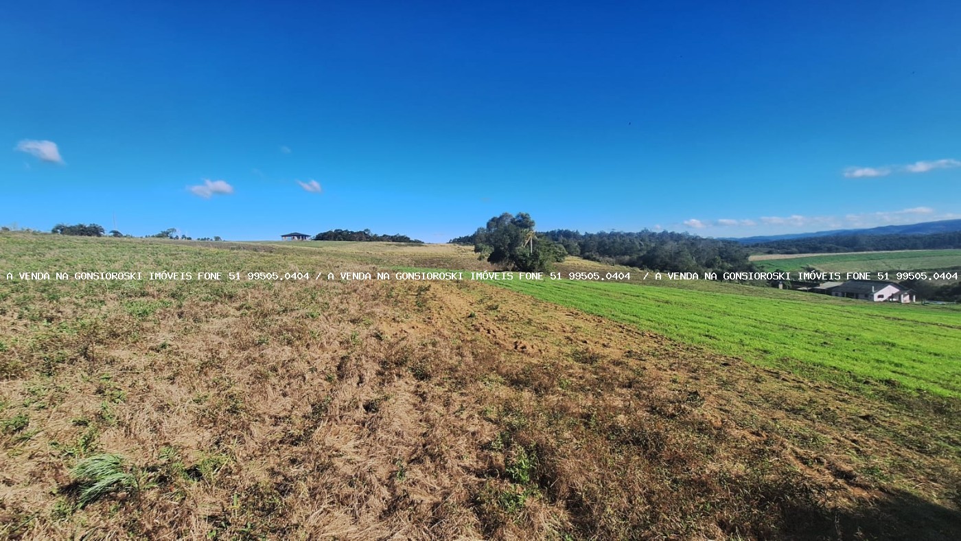 Sítio à venda com 4 quartos, 46500m² - Foto 26