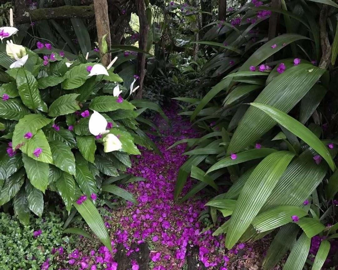 Casa à venda - Foto 50