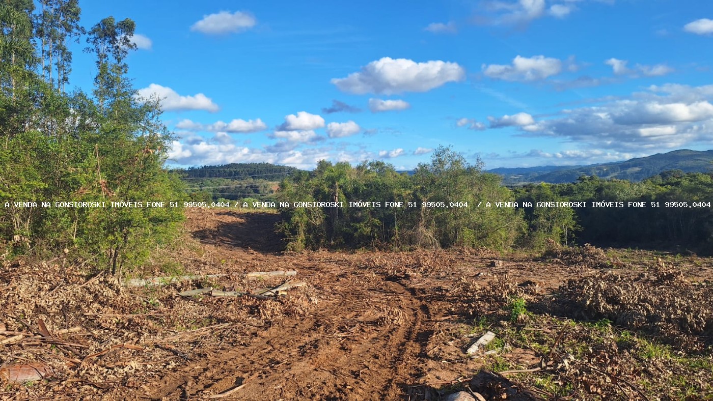 Sítio à venda com 2 quartos, 96000m² - Foto 7