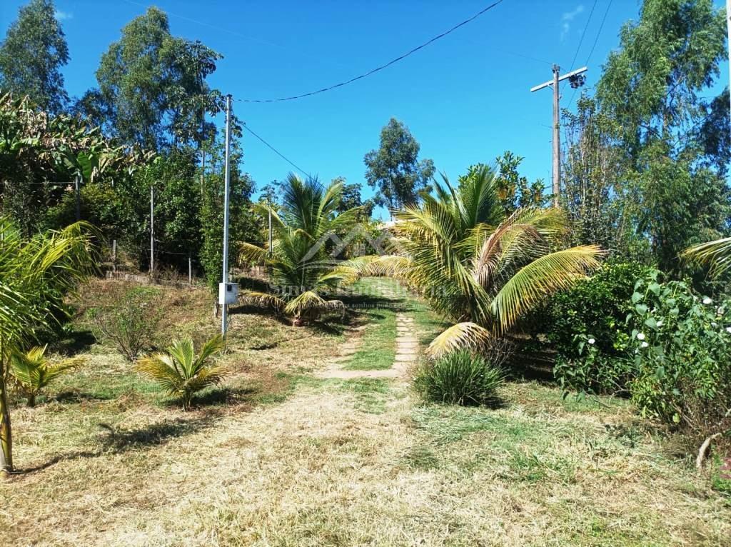 Sítio à venda com 1 quarto, 8000m² - Foto 8