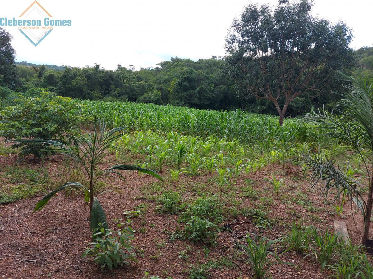Chácara à venda com 3 quartos, 1m² - Foto 21