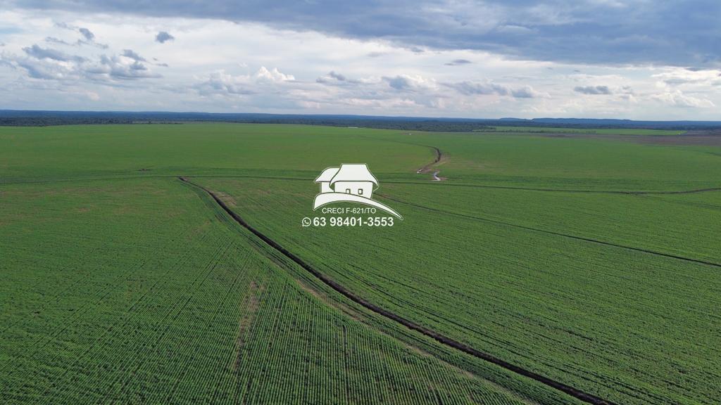 Fazenda à venda, 1m² - Foto 8
