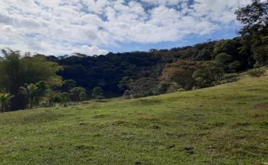 Sítio à venda com 5 quartos, 150000m² - Foto 5