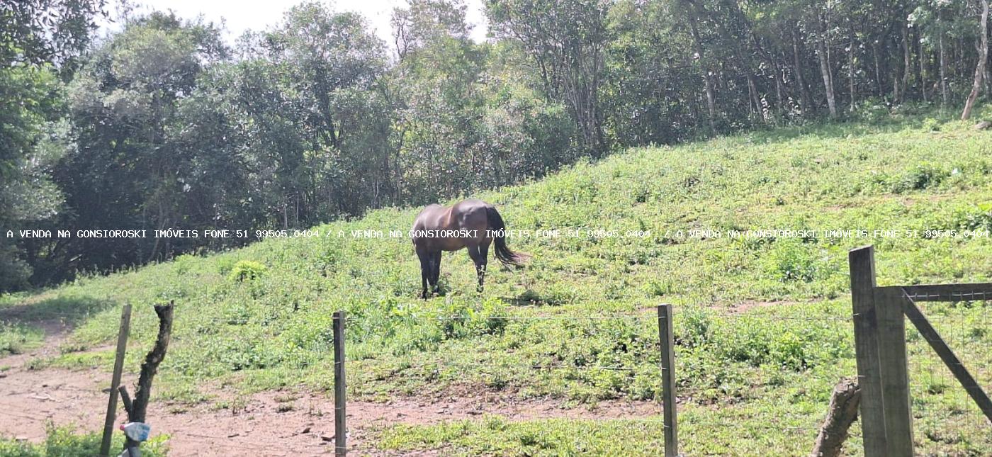 Chácara à venda com 2 quartos, 10000m² - Foto 19