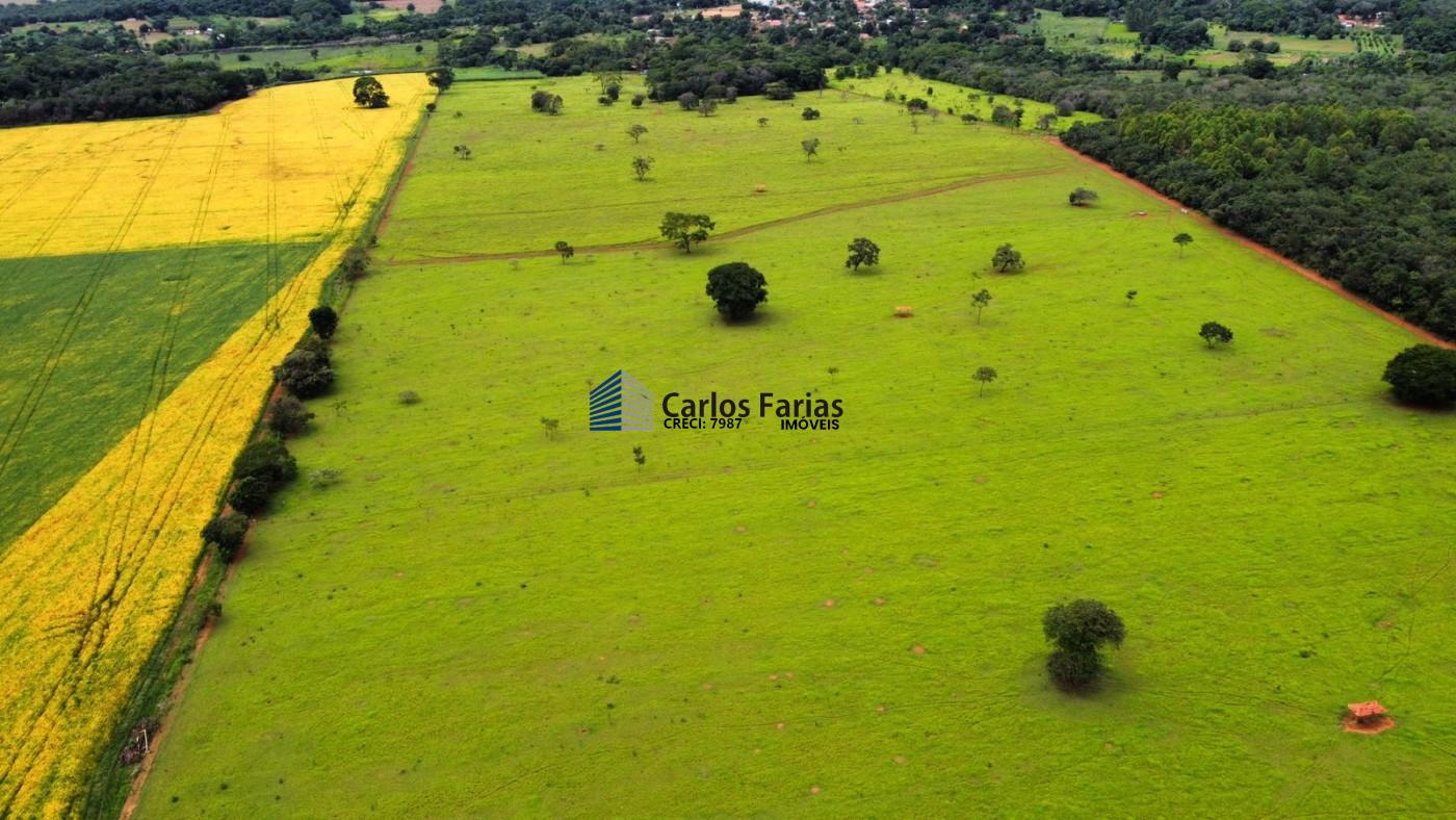 Fazenda à venda com 3 quartos, 230m² - Foto 26