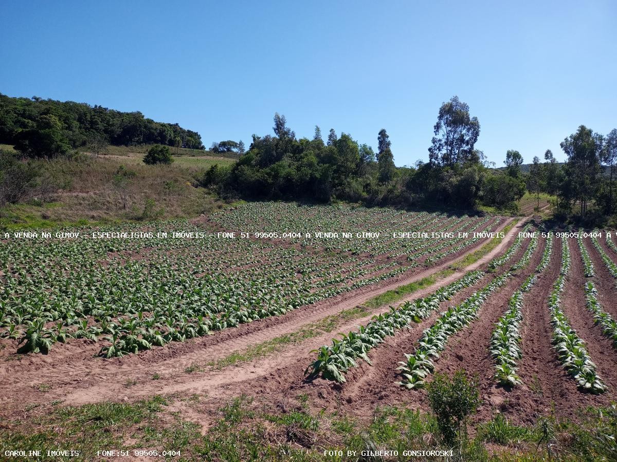 Loteamento e Condomínio à venda, 155000m² - Foto 5